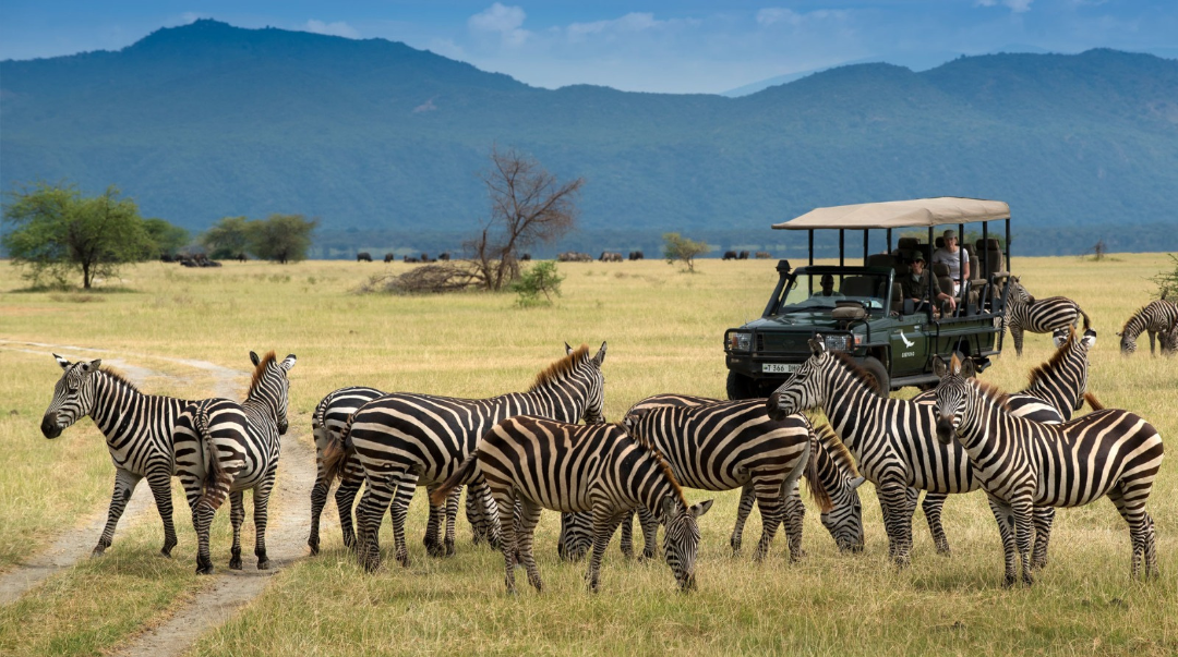 ÁFRICA DO SUL – Safari no Kruger e Vinícola (De 24 de outubro a 05 de novembro de 2026)