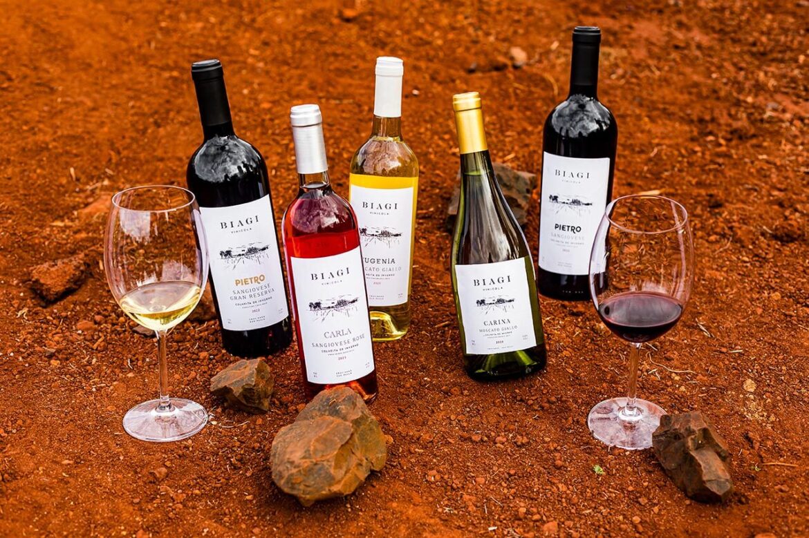 Vinícola Biagi: Tradição e Inovação em Vinhos